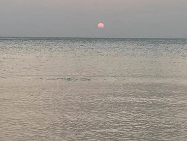 【椰樹(shù)婆娑 流水潺潺】 海南某污水處理廠項(xiàng)目調(diào)試優(yōu)化進(jìn)行中